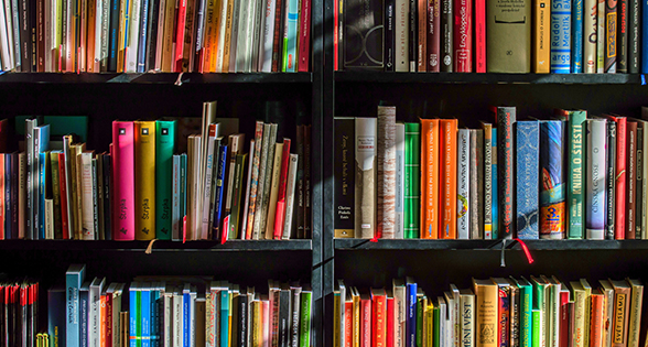 Curriculum