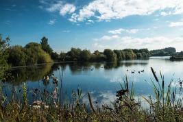 Year 4 visit to Kingsbury Waterpark
