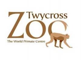 Year 1 visit to Twycross Zoo