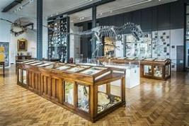 Year 3 visit to Lapworth Museum