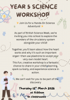 Year 5 Science Workshop